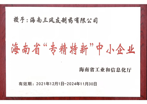 海南省 专精特新 中小企业